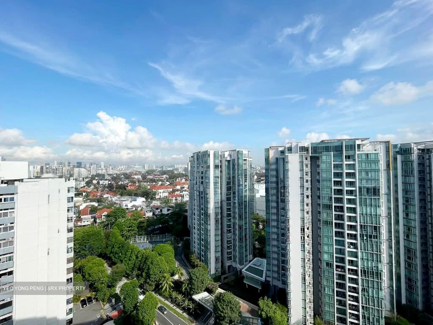 Amber Park (D15), Condominium #559536731